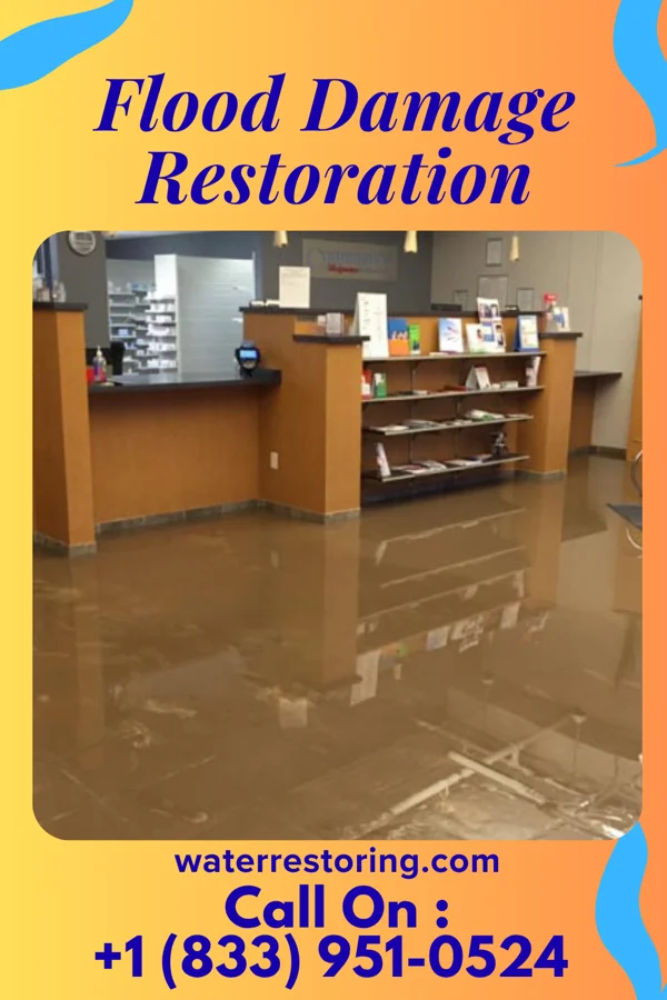 Flood Damage Restoration in Nora, NE