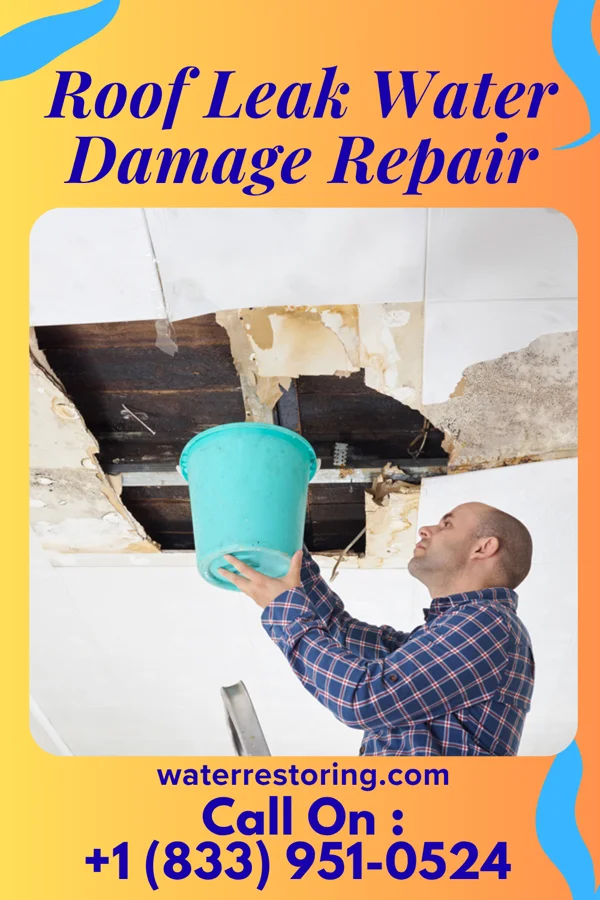 Roof Leak Water Damage Repair in Nora, NE
